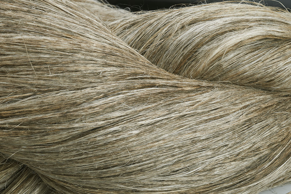 fibres lin longues